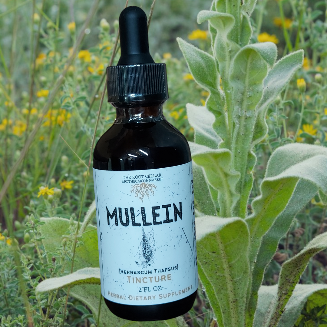 Tincture - Mullein 2 oz